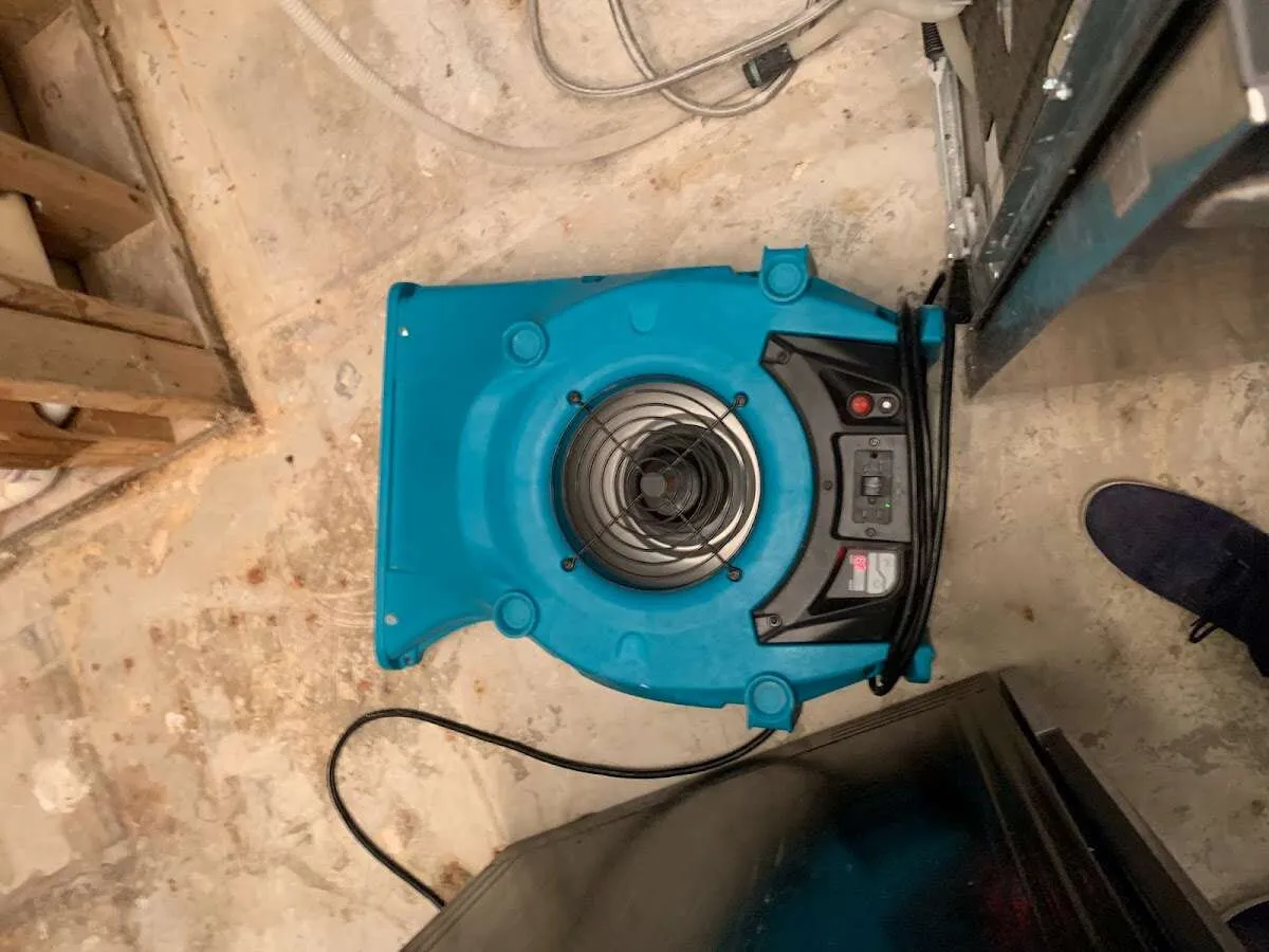 Air mover drying equipment for Mold Remediation & Removal in East End